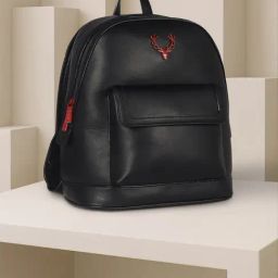 Allen Solly Black Backpack-picture-2