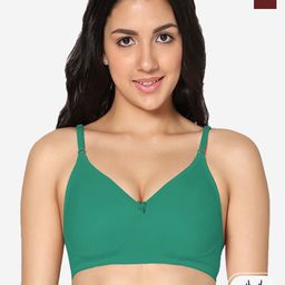 In Care Pack of 2 Full Coverage Cotton T-shirt Bra With All Day Comfort-picture-40