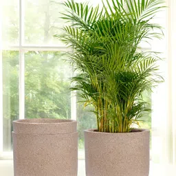 RUBOXA Marble Jaguar 3-Pcs Brown UV-ProtectedPlanters-33