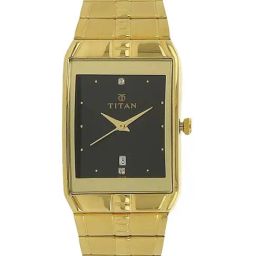 Titan NK9151YM05 Analog Watch for Men-40
