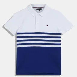 Tommy Hilfiger Kids Wedge Blue Colorblock Regular Fit Polo T-Shirt-picture-31