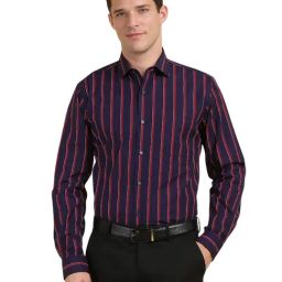 Allen Solly Navy Cotton Slim Fit Stripes Shirt-image-99