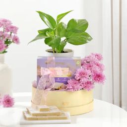 Wellness And Indulgence Hamper-29