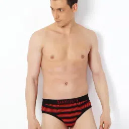 Van Heusen Red Cotton Regular Fit Striped Briefs-picture-47