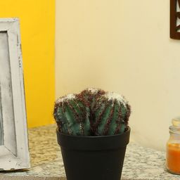 Aapno Rajasthan Green Plastic Artificial Plant with Pot-45