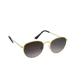 Walrus Men Black Lens & Gold-Toned Oval Sunglasses with UV Protected Lens-image-29