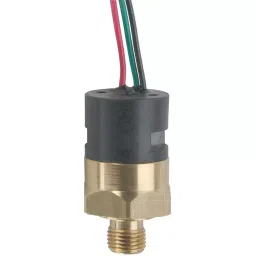 GEMS SENSORS Pressure Switch, Spdt, 100Psi, 209596-32