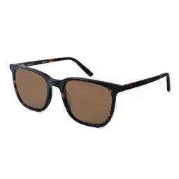 Pierre Cardin Brown Square Sunglasses for Men-image-25