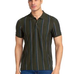 Raymond Dark Green Regular Fit Striped Polo T-Shirt-picture-23
