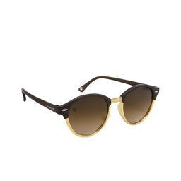 Walrus Men Brown & Black Round Sunglasses with UV Protected Lens WSGM-JAMES-III-090609-image-32