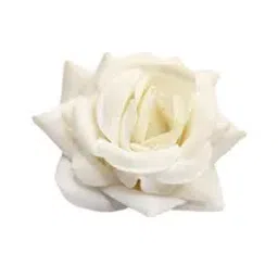 Kayanara Real Look White Rose Shape Alligator Hair Pin For Women-picture-12