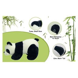NatkhatPanda Long Arm-35cm teddy-picture-12