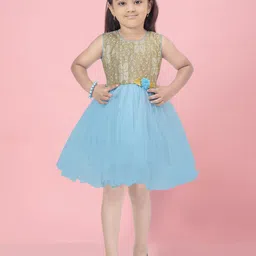 BAESD Net Fit & Flare Dress image 1