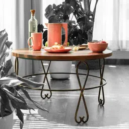 Ellementry Kafe Beige Mango Wood Coffee Table with Metal Legs-image-42