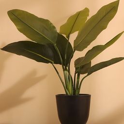 Elemntl Green Artificial Potted Banana Plant With Pot-17