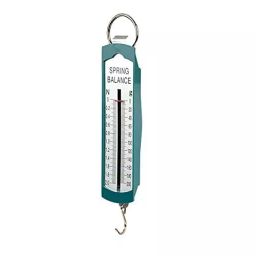 MAURYA SCIENTIFIC Flat Spring Balance Dual Scale 100 g-11