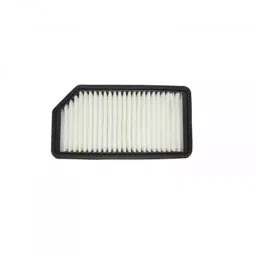 Hella Air Filter for SANTRO (LPG), 358.174-281-picture-38