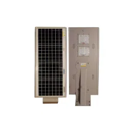 Aarmee Solar 30 W Solar Street Light with Motion Sensor Grey, WI-RG1F-W4FF-16