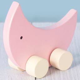 Jim N Jam Moon Wheel Toy for Babies-17