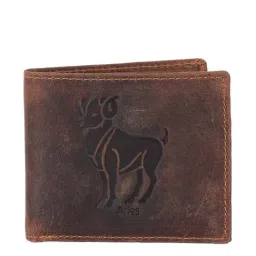 Alvaro Castagnino Brown Leather Bi-Fold Wallet for Men-picture-19