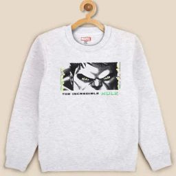 Kidsville Boys Grey Character Based Full Sleeves Sweatshirt-image-33