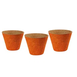 Aura Orange-Colored Textured Coir Planter-25