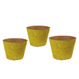 Aura Yellow Textured Coir Planter-23