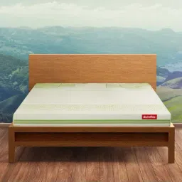 Duroflex Tatva Organic Cotton Latex Mattress - Single Size (72 in. L x 30 in. W)-34