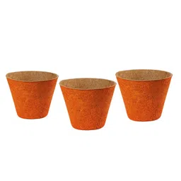 Aura Orange-Colored Textured Coir Planter-53