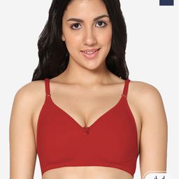 In Care Pack Of 2 Full Coverage Non Padded Seamless T-shirt Bra - All Day Comfort-picture-47