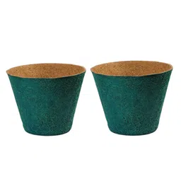 Aura Green Coconut Fiber Coir Pot-image-7