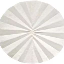 Whatman 1202-150 Cellulose Dia 150 mm Qualitative Folded Filter Paper-27