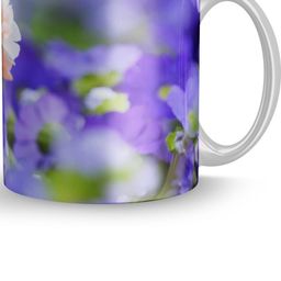 Gift4You Ceramic Cups-picture-40