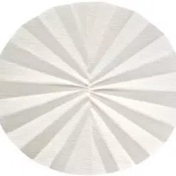 Whatman 10334345 Cellulose Dia 150 mm Qualitative Folded Filter Paper-picture-10