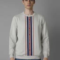 Louis Philippe Grey Cotton Regular Fit Striped Sweatshirt-picture-20