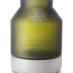 Perenne Design Olivia Green Self Design Rectangle shaped Glass Flower Vase-17