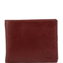 Kara Dark Brown Solid Leather Bi-Fold Wallet-picture-21