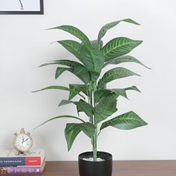 Home Bloom Green & Black Artificial Croton Plant With Pot-15