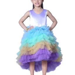Wow Princess Net A-Line Dress-image-96