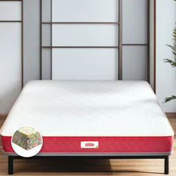 COIRFIT White & Maroon Quilted Cotton Orthopedic Queen Size Mattress-picture-58