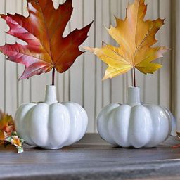 Kraftlik Handicraft Set of 2 Ceramic Pumpkin-Shaped Vases-image-67