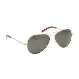 Polaroid 2276393YG60H8 Aviator Unisex Sunglasses-picture-33