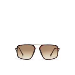 Aldo Men Brown Lens Aviator Sunglasses - NATANIEL240-picture-43