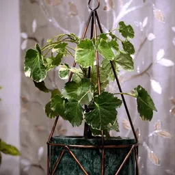 POSH-N-PLUSH Green & Copper-Toned Antique Metal Filigree Planter-image-84