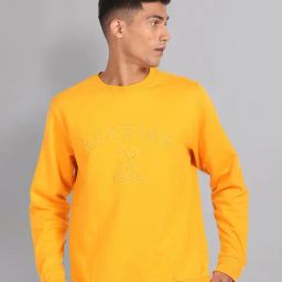 AD by Arvind Yellow Slim Fit Embroidered Round Neck Sweatshirt-picture-35