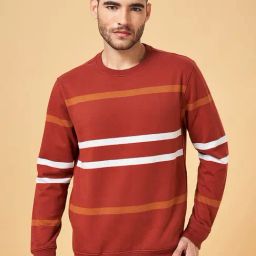 Urban Ranger by Pantaloons Mid Rust Regular Fit Striped Sweatshirt-4