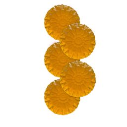 GROOVY Set Of 5 Onion Oasis Kesar Bar - 100 g Each-42