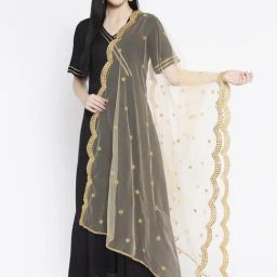 studiorasa Beige Embroidered Net Dupatta-picture-0