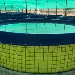 Mipatex 550 GSM PVC Biofloc Fish Tank 4m, 10000ltr - Round Tarpaulin Sheet 1.2m Height Tank(Blue)-image-38