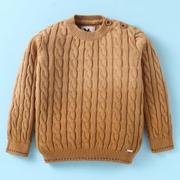 Yellow Apple Knit Full Sleeves Sweater with Cable Knit Design - Light Brown-image-55